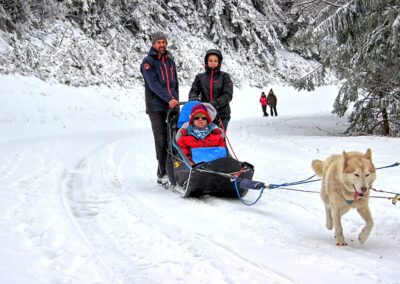 Balade en traineau tracté par des yuskis sur une piste forestière enneigée