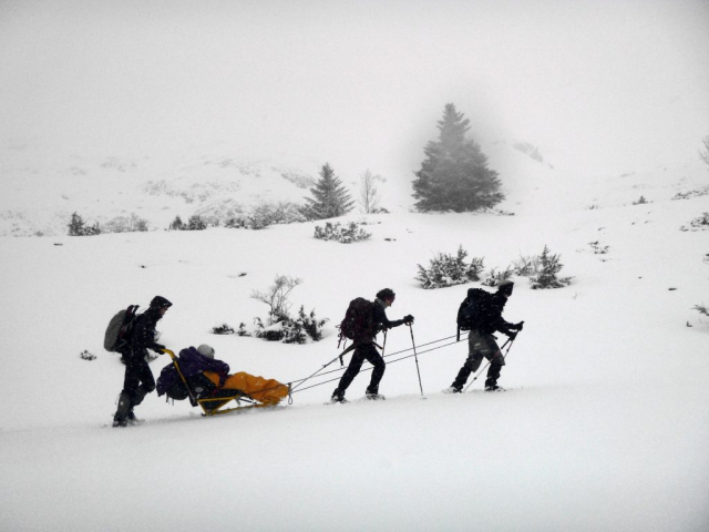 Randonnées en Raquettes avec Fauteuils ski au milieu de sapin