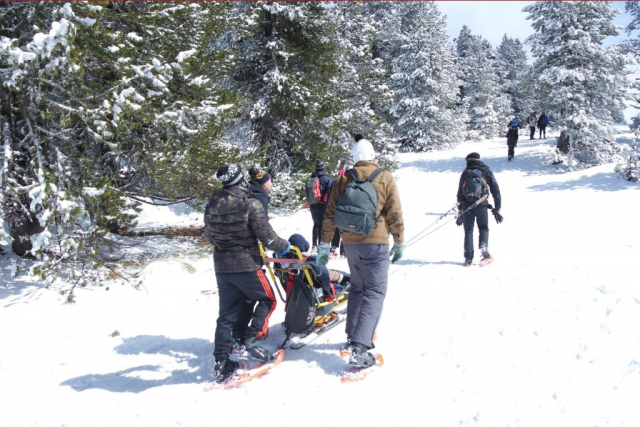 groupe de randonneurs en raquettes et fauteuil-ski dans des bois enneigés