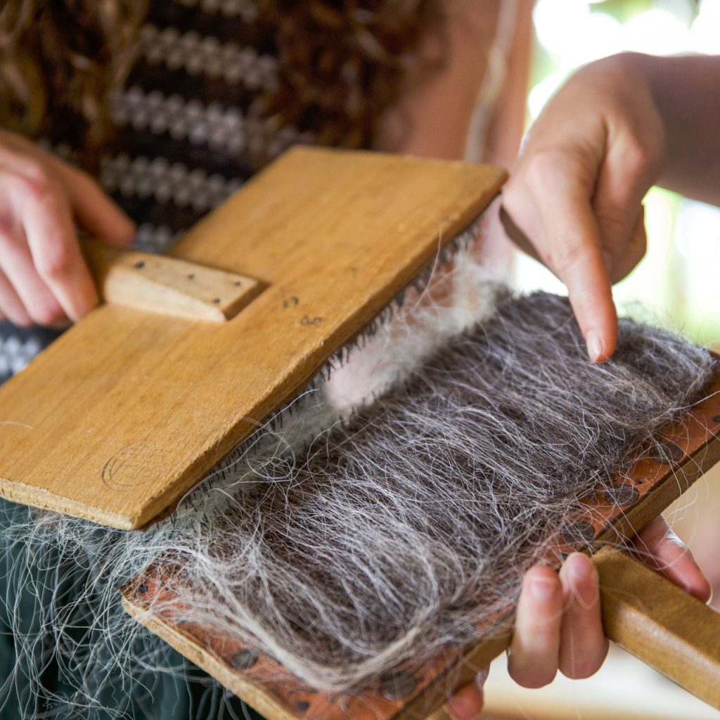 une main peigne la laine avec une grosse brosse spéciale pour le feutrage.