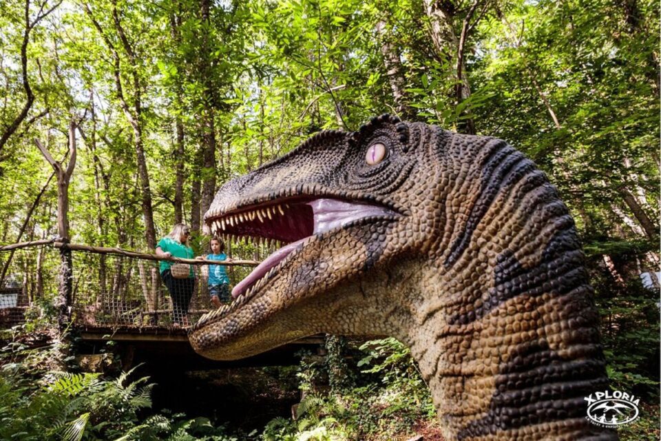 Xploria, voyage dans le passé