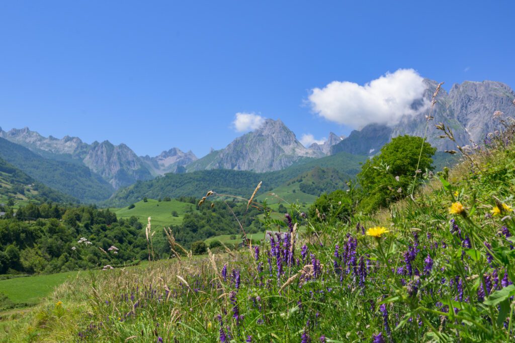 Vallee_Aspe