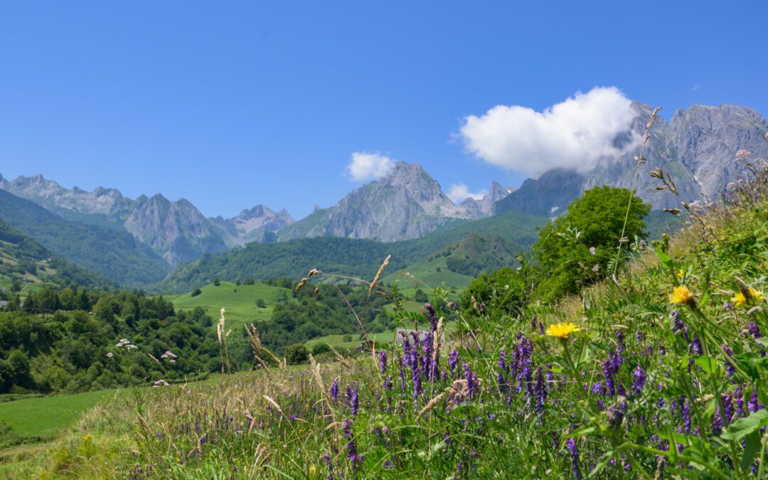 Vallée d&rsquo;Aspe